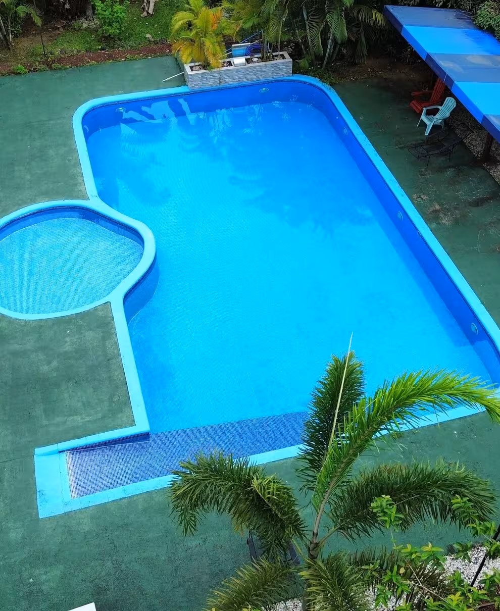 Outdoor pool with lush tropical surroundings
